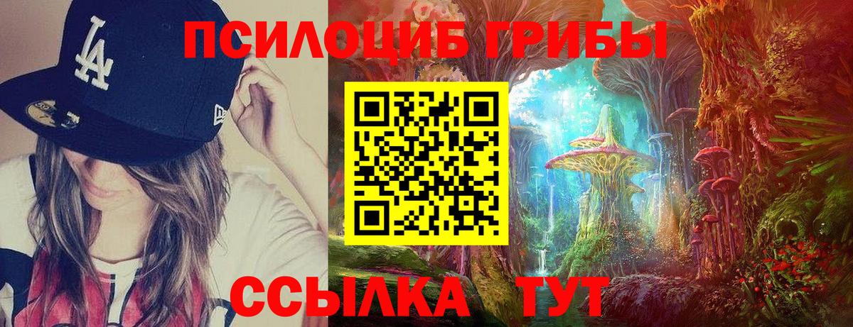 Ярославль  Псилоцибиновые грибы GOLDEN TEACHER  Псилоцибиновые грибы прущие грибы  Вход с VPN 