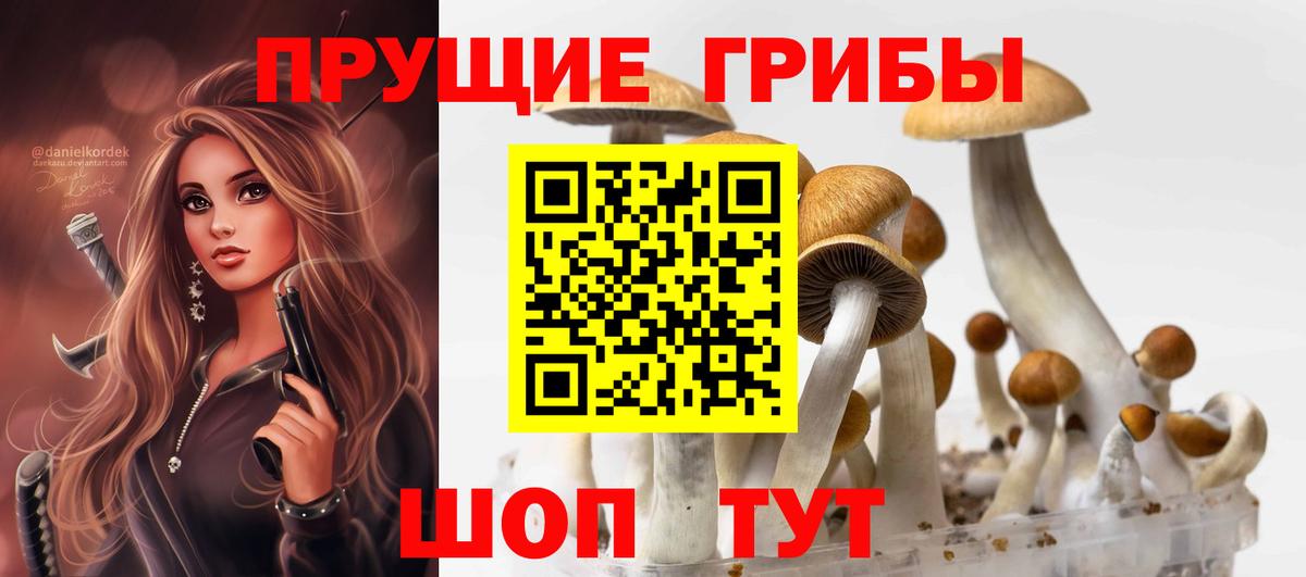 Галлюциногенные грибы прущие грибы Ярославль