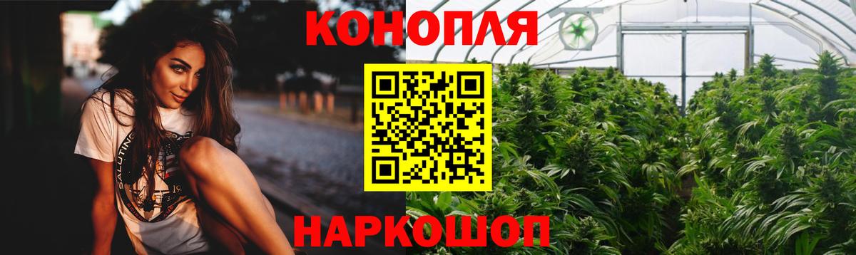 Бошки Шишки планчик Ярославль
